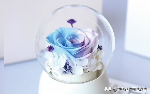 玩轉時尚元素 比拼精巧創意——禮品花卉銷售新趨勢